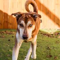 Thumbnail photo of Albus JuM #3