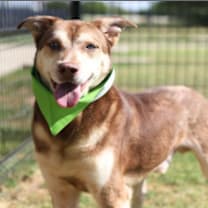 Thumbnail photo of Albus JuM #2