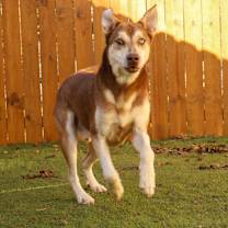 Thumbnail photo of Albus JuM #4