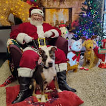 Thumbnail photo of Jasmine #1