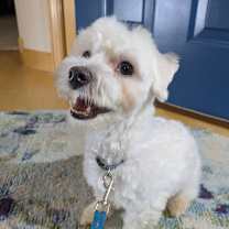 Thumbnail photo of Wilfred 90 #3