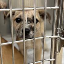 Thumbnail photo of CT Iceland #2