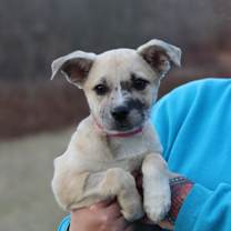 Thumbnail photo of CT Iceland #3