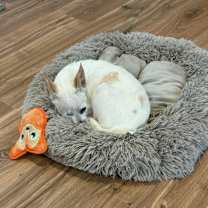 Thumbnail photo of Charlotte #4