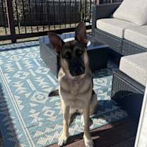 Thumbnail photo of Remi (CL) #1