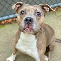 Thumbnail photo of Drina #1