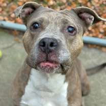 Thumbnail photo of Drina #2