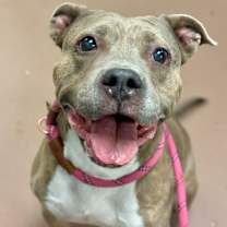 Thumbnail photo of Drina #3