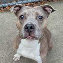 Thumbnail photo of Drina #4