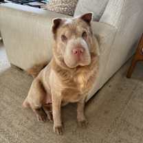 Thumbnail photo of River #1