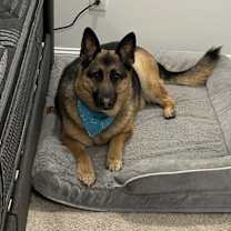 Thumbnail photo of Benny #2