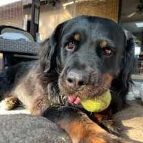 Thumbnail photo of Nelly #1