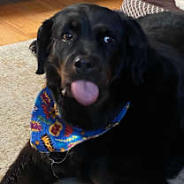 Thumbnail photo of Nelly #3