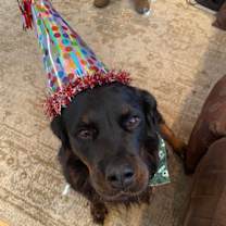 Thumbnail photo of Nelly #4