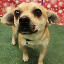 Thumbnail photo of Arn DIRJ 12/16/25 #2