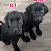 Thumbnail photo of DJ #1