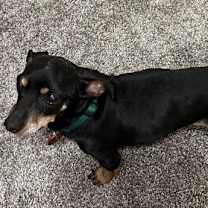 Thumbnail photo of Waldo #2