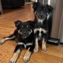 Thumbnail photo of Mr. Claus #2