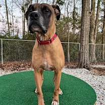 Thumbnail photo of Vega #4