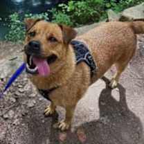 Thumbnail photo of Serena #4