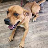 Thumbnail photo of Stella #3