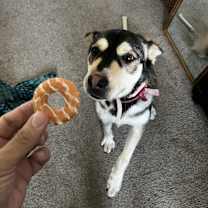 Thumbnail photo of Sasha #2