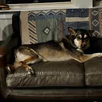 Thumbnail photo of Sasha #3