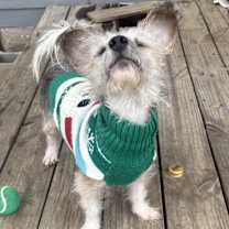 Thumbnail photo of Hendrix #1