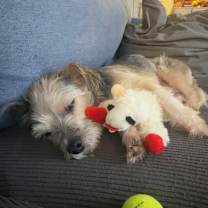 Thumbnail photo of Hendrix #2