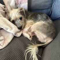 Thumbnail photo of Hendrix #3