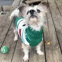 Thumbnail photo of Hendrix #4