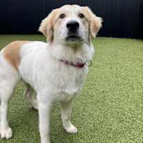 Thumbnail photo of Noelle #2