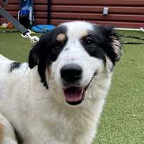 Thumbnail photo of Grace #2