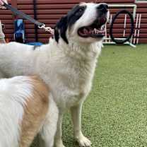 Thumbnail photo of Grace #3