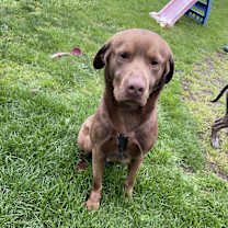 Thumbnail photo of Peanut Butter #2