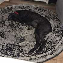 Thumbnail photo of Sophia #1