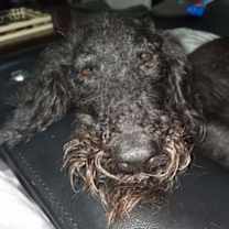 Thumbnail photo of Sophia #2