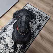 Thumbnail photo of Sophia #4