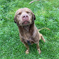 Thumbnail photo of Peanut Butter #4