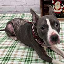 Thumbnail photo of Betty Burger #2