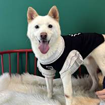 Thumbnail photo of Baba (HDS) #1