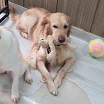 Thumbnail photo of Merry #2