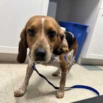 Thumbnail photo of NSYNC #3