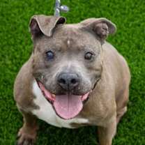 Thumbnail photo of DESOLATION #2