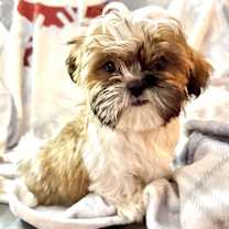 Thumbnail photo of Rubato #1