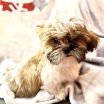 Thumbnail photo of Rubato #4