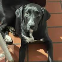 Thumbnail photo of Magic #1