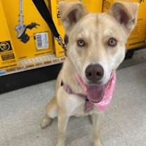 Thumbnail photo of Lady #1