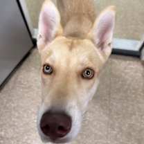 Thumbnail photo of Lady #3