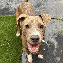 Thumbnail photo of Lazlo #1